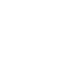 AI Response